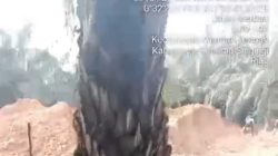 PETI Kembali Menggeliat di Koto Kari, Alat Berat Diduga Buka Akses Tambang PETI Kembali Menggeliat di Koto Kari, Alat Berat Diduga Buka Akses Tambang