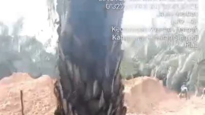 PETI Kembali Menggeliat di Koto Kari, Alat Berat Diduga Buka Akses Tambang PETI Kembali Menggeliat di Koto Kari, Alat Berat Diduga Buka Akses Tambang
