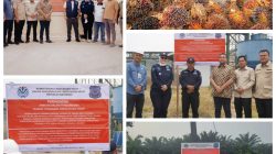Enam PKS di Kuansing Jadi Sorotan Usai Disidak Komisi XII DPR RI dan Gakkum KLH, Publik Pertanyakan Pengawasan Enam PKS di Kuansing Jadi Sorotan Usai Disidak Komisi XII DPR RI dan Gakkum KLH, Publik Pertanyakan Pengawasan